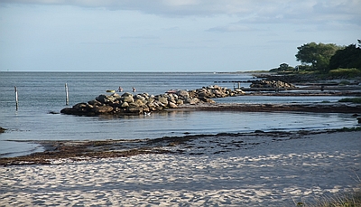 Photo of a Baltic Sea coast (Marcus Reckermann)